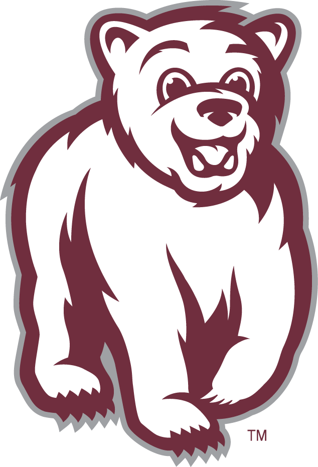 Montana Grizzlies 2010-Pres Mascot Logo 03 iron on paper